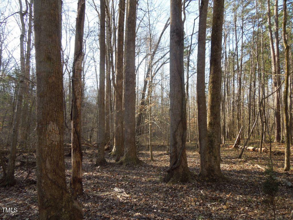 0 Noel Tuck Road Oxford, NC 27565 - Photo 18 of 18 DSCN0170