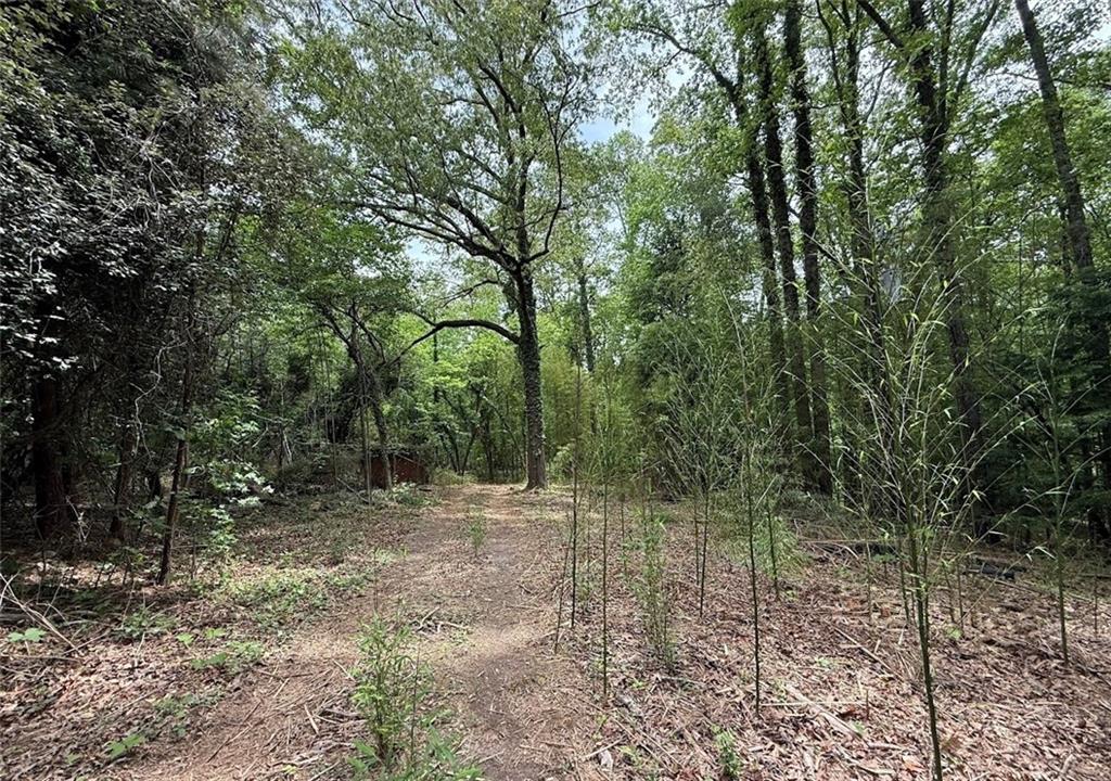 5166 Dallas Acworth Highway Dallas, GA 30132 - Photo 6 of 11 a view of outdoor space with lots of trees