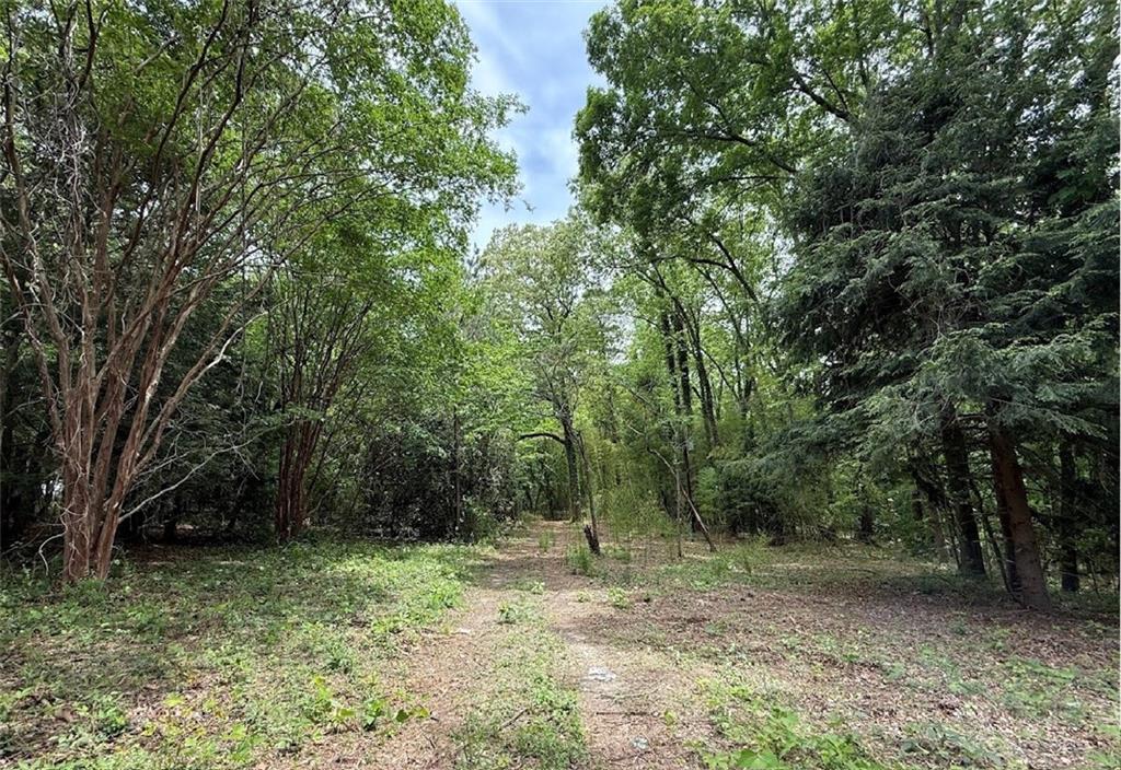 5166 Dallas Acworth Highway Dallas, GA 30132 - Photo 8 of 11 a view of a forest with trees in the background