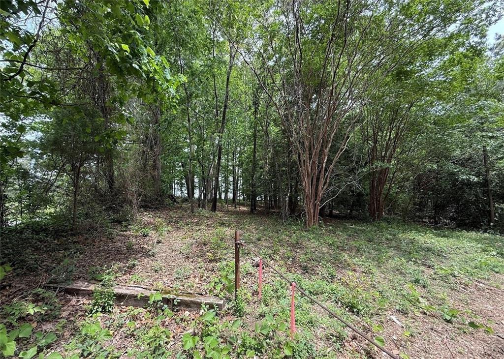5166 Dallas Acworth Highway Dallas, GA 30132 - Photo 9 of 11 a view of backyard with green space