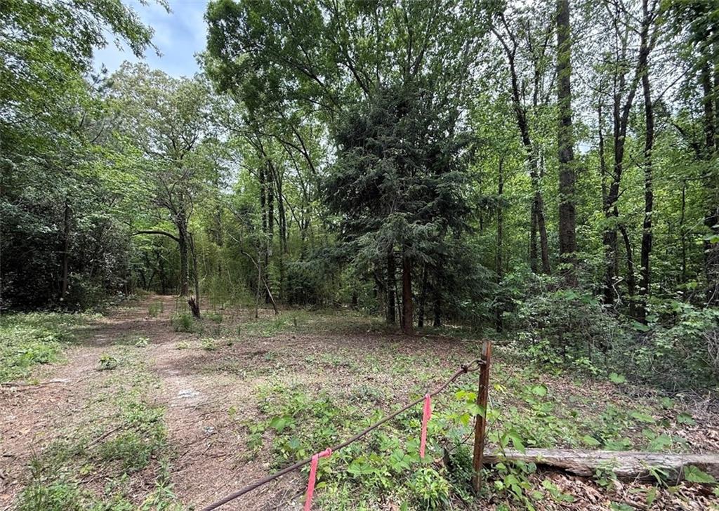 5166 Dallas Acworth Highway Dallas, GA 30132 - Photo 10 of 11 a big yard with lots of green space and deers