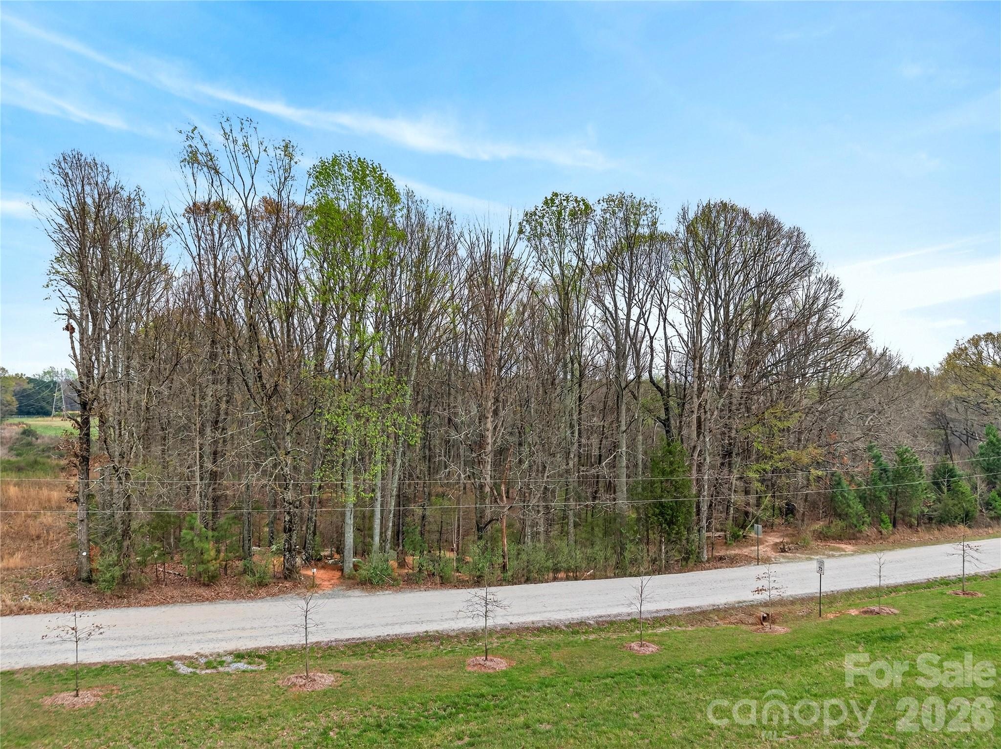 20926 Fisher Road Davidson, NC 28036 - Photo 3 of 22