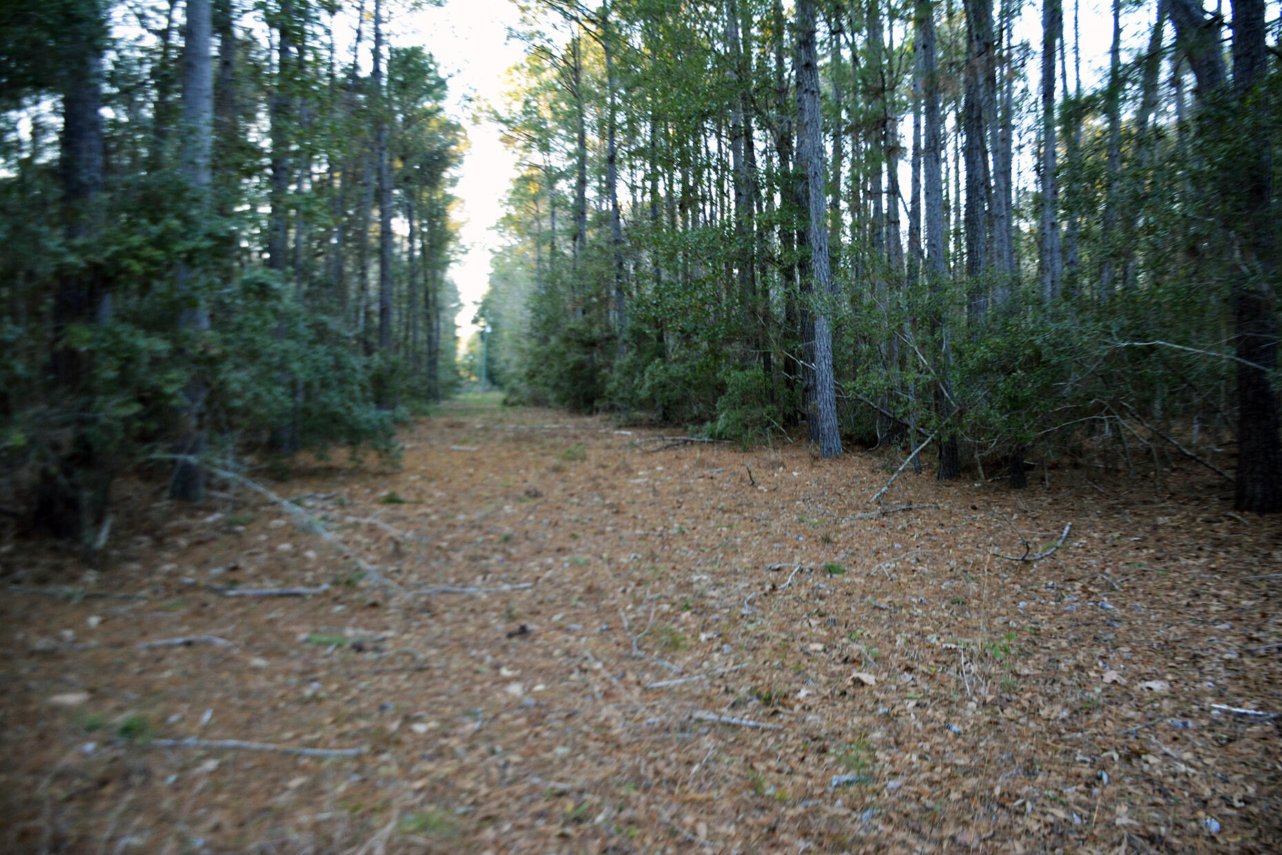 2 Red House Road Edisto Island, SC 29438 - Photo 11 of 16 _DSC7874