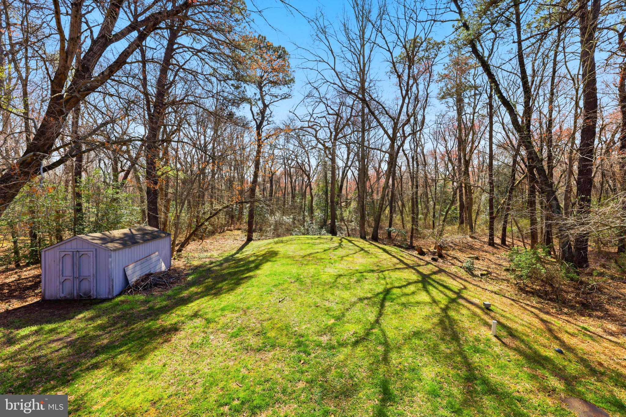 16 Skeet Road Medford, NJ 08055 - Photo 35 of 46