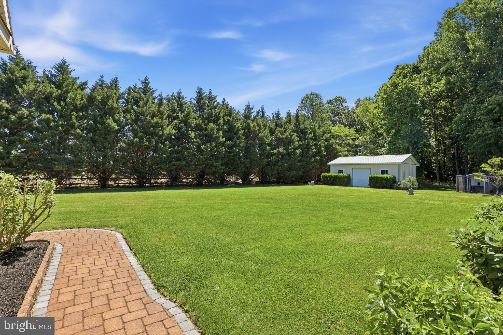 16932 Fitzgeralds Road Lincoln, DE 19960 - Photo 12 of 103 Lush green yard with serene backdrop.