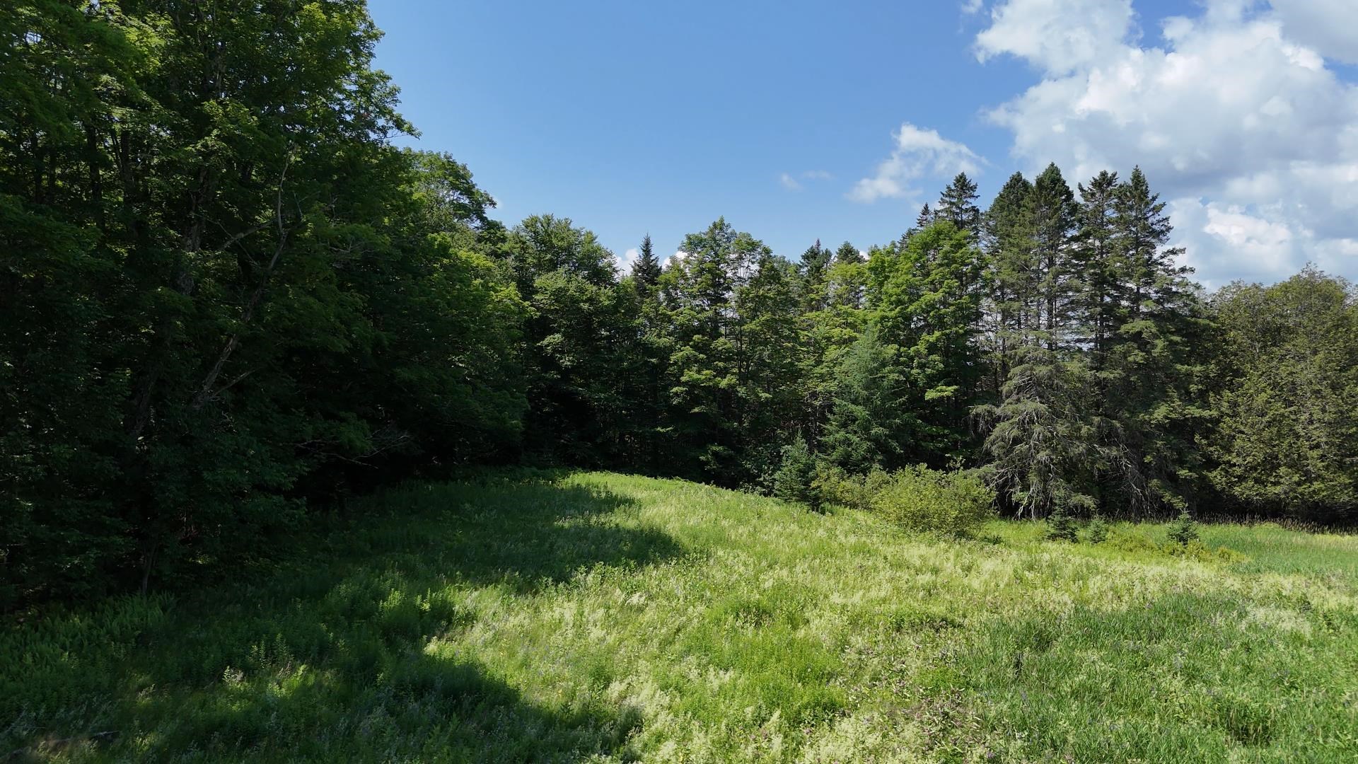 0 Old Farm Road West Burke, VT 05871 - Photo 15 of 25