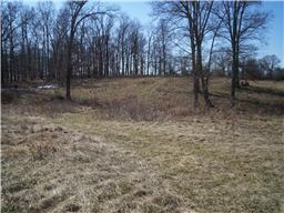 1 Leo Baker Road Ashland City, TN 37015 - Photo 1 of 15 Gallery Image 1