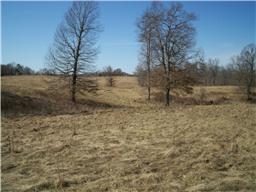 1 Leo Baker Road Ashland City, TN 37015 - Photo 11 of 15 Gallery Image 11
