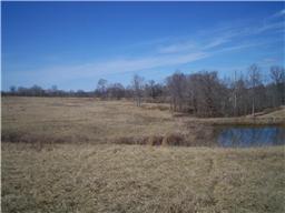 1 Leo Baker Road Ashland City, TN 37015 - Photo 7 of 15 Gallery Image 7