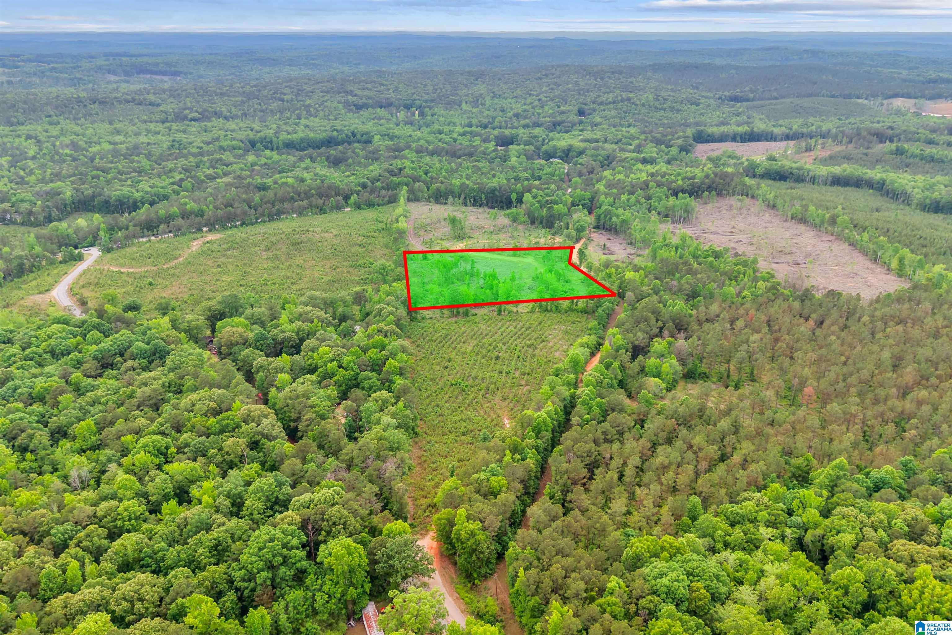 Active Road, Unit 5 Lawley, AL 36793 - Photo 3 of 38