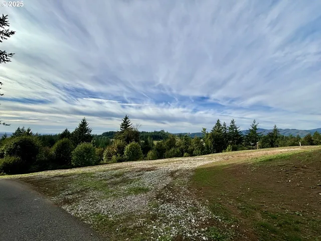 a view of a field with an ocean