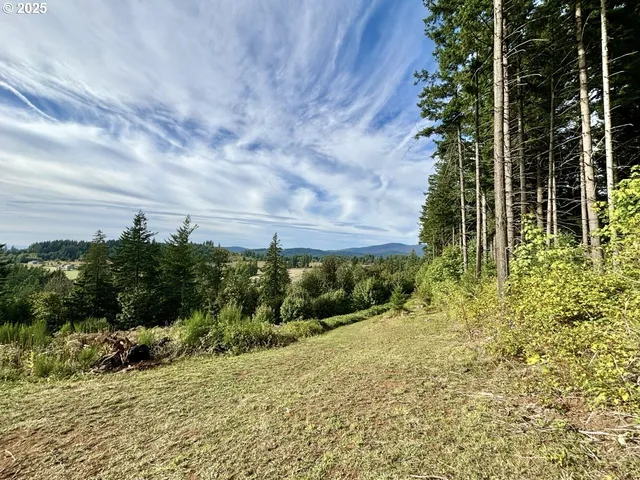 a view of a yard with plants and brick wall
