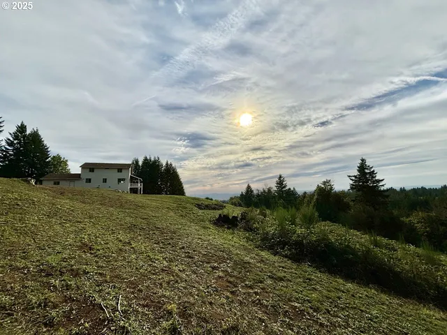 a view of a green field