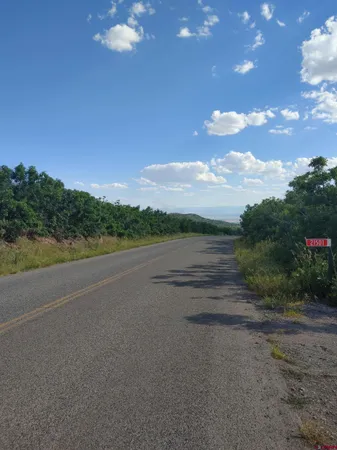 a view of a road with a yard