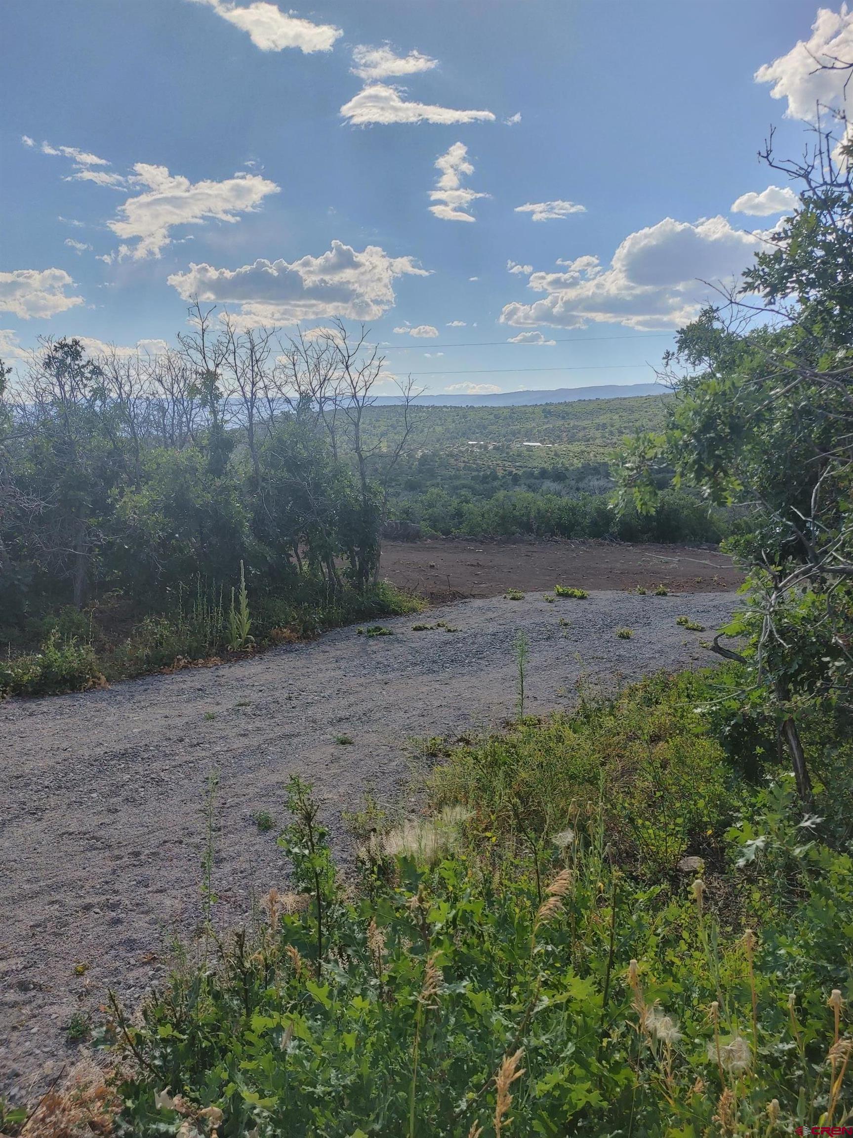21501 Surface Creek Road Cedaredge, CO 81413 - Photo 4 of 9 a view of a dry yard