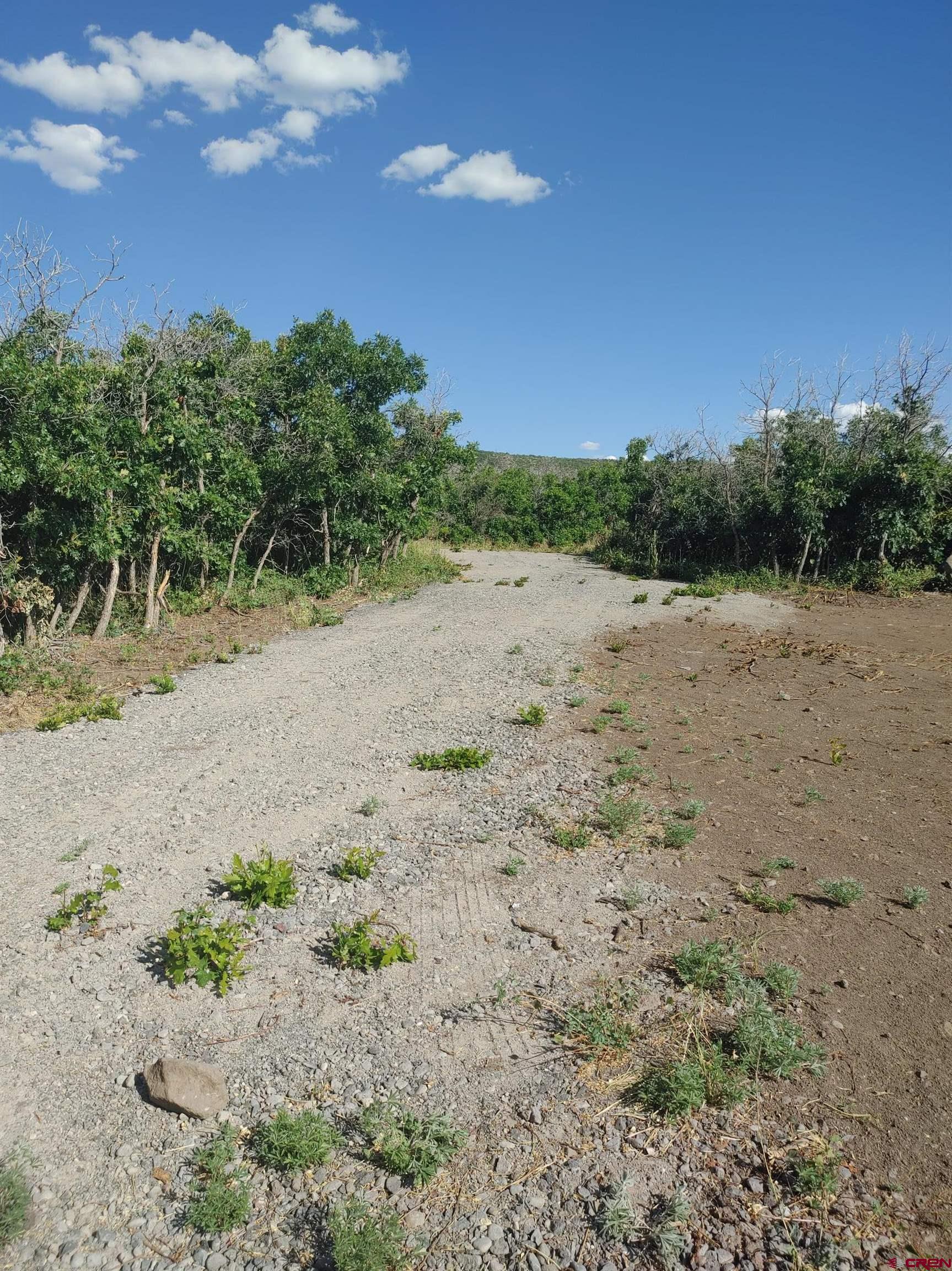 21501 Surface Creek Road Cedaredge, CO 81413 - Photo 5 of 9 a view of ocean view with beach