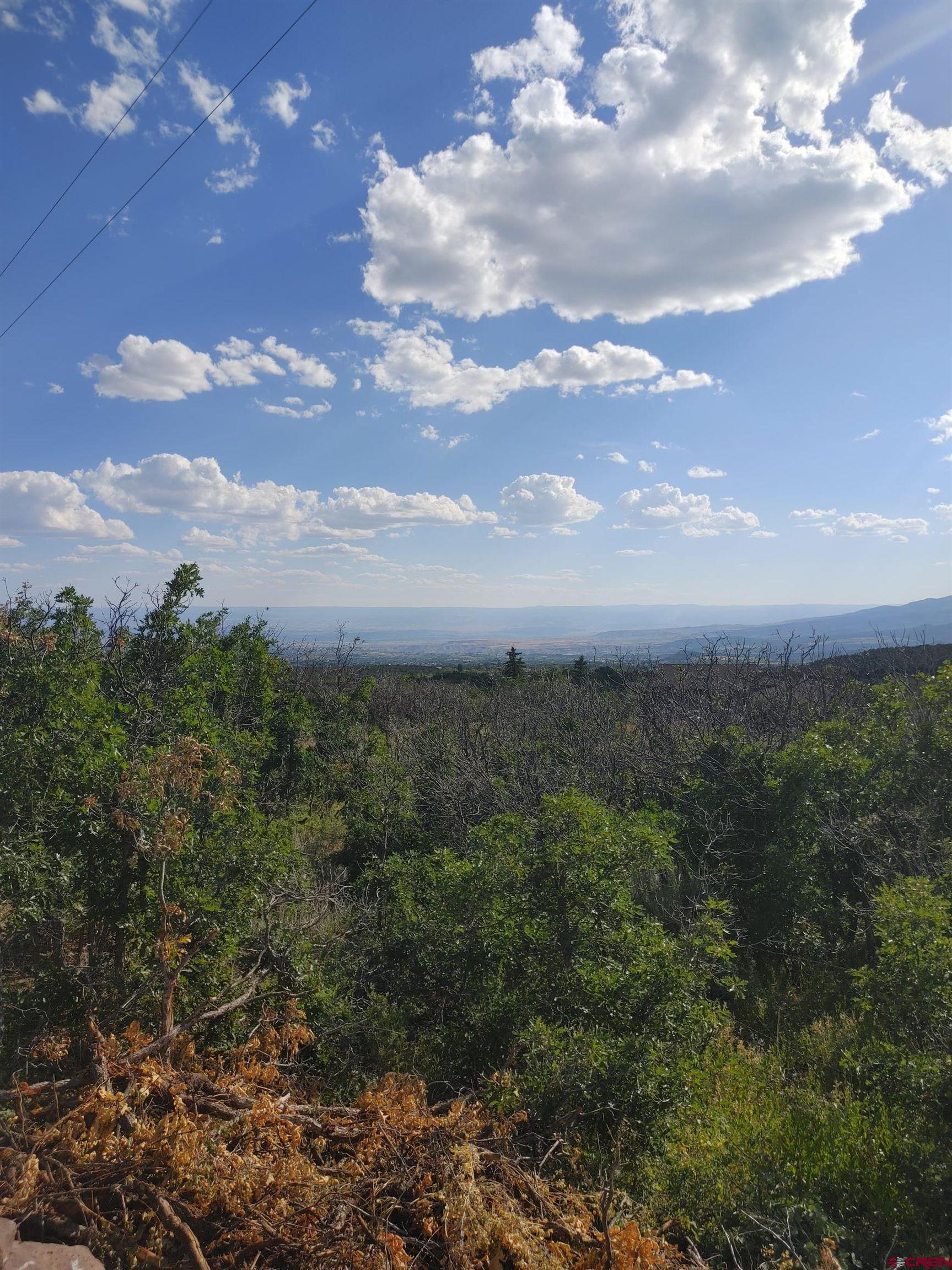 21501 Surface Creek Road Cedaredge, CO 81413 - Photo 7 of 9 a view of a city