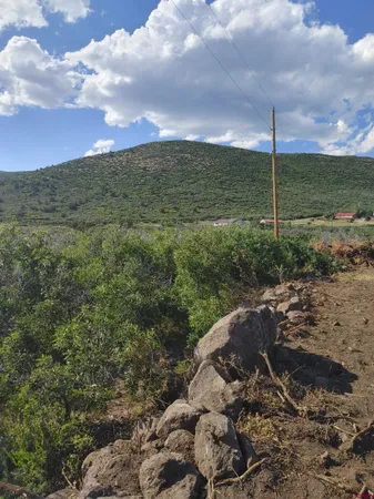 a view of a big yard with lots of green space