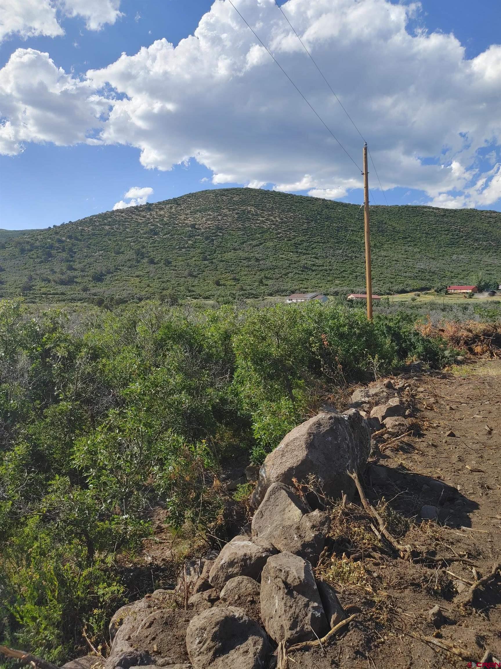 21501 Surface Creek Road Cedaredge, CO 81413 - Photo 8 of 9 a view of a big yard with lots of green space