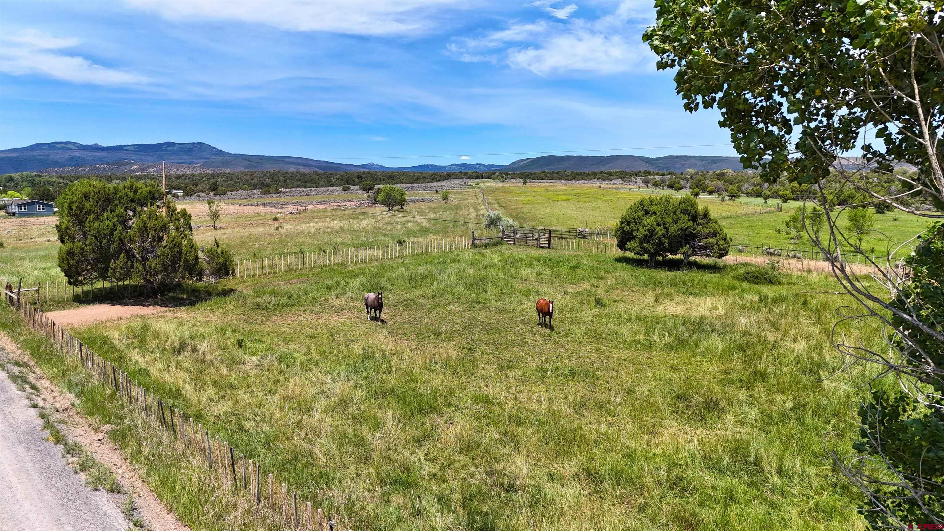 15574 2900th Road Hotchkiss, CO 81419 - Photo 36 of 45