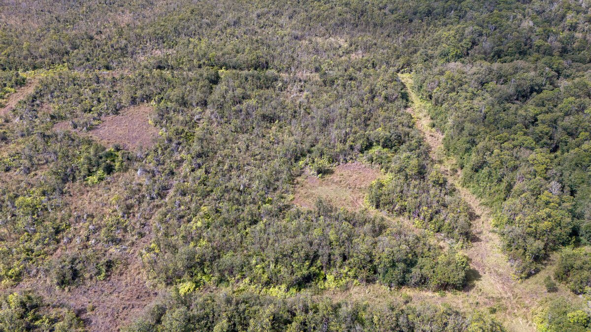 3 North Glenwood Road Mountain View, HI 96771 - Photo 3 of 7 a view of a yard