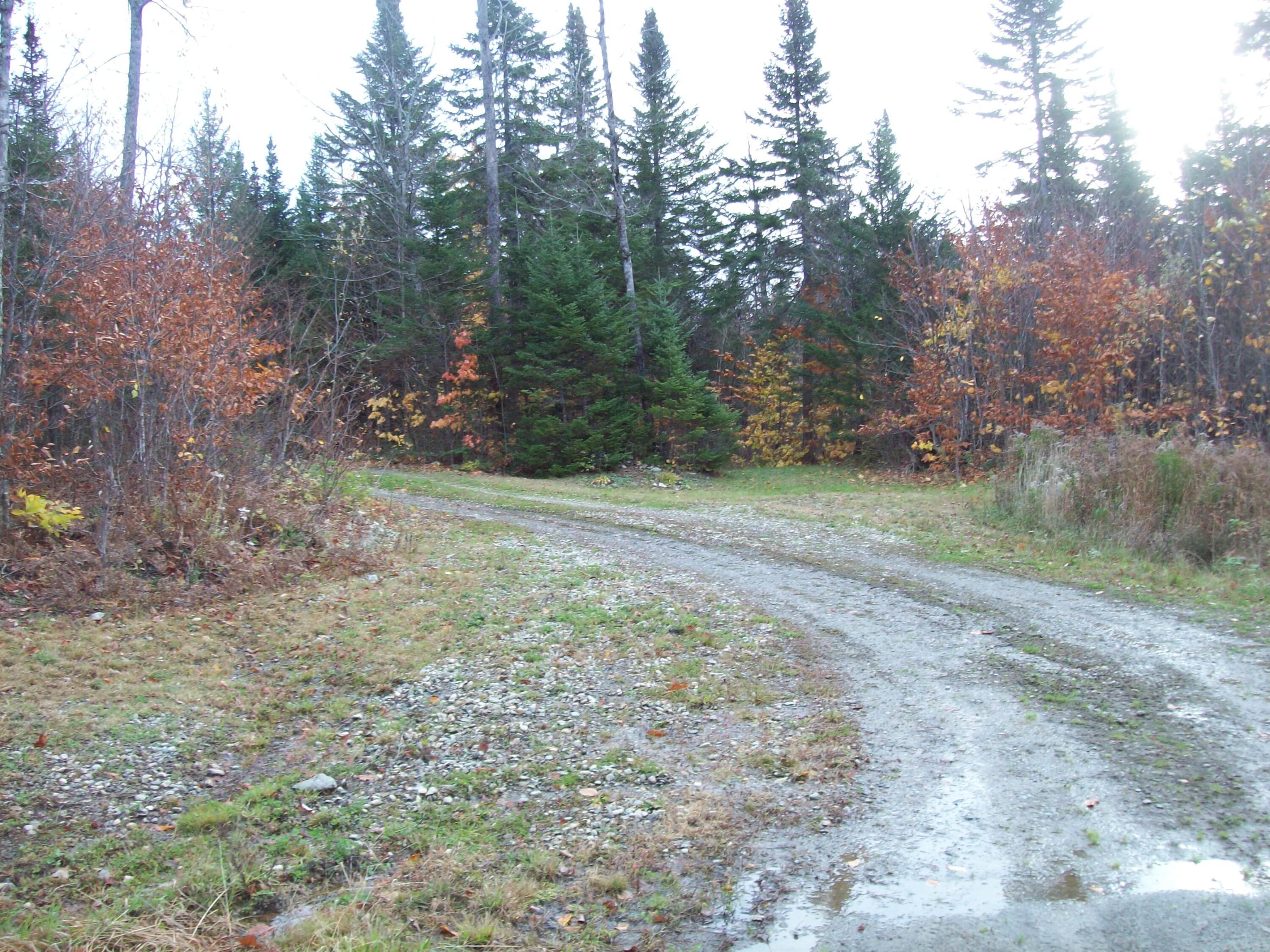 Tbd Mountain Road Mount Chase, ME 04765 - Photo 5 of 29 100_2405