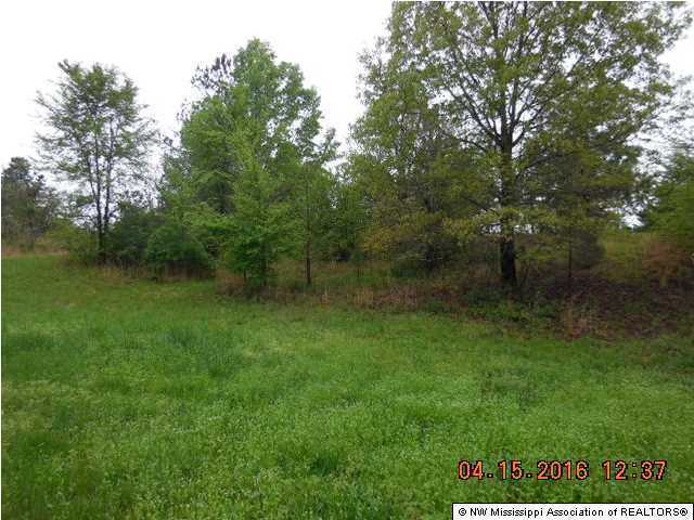 0 Clanton Road Coldwater, MS 38618 - Photo 2 of 5 Additional Photo