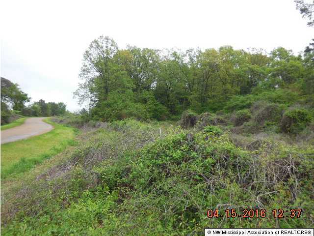 0 Clanton Road Coldwater, MS 38618 - Photo 3 of 5 Additional Photo