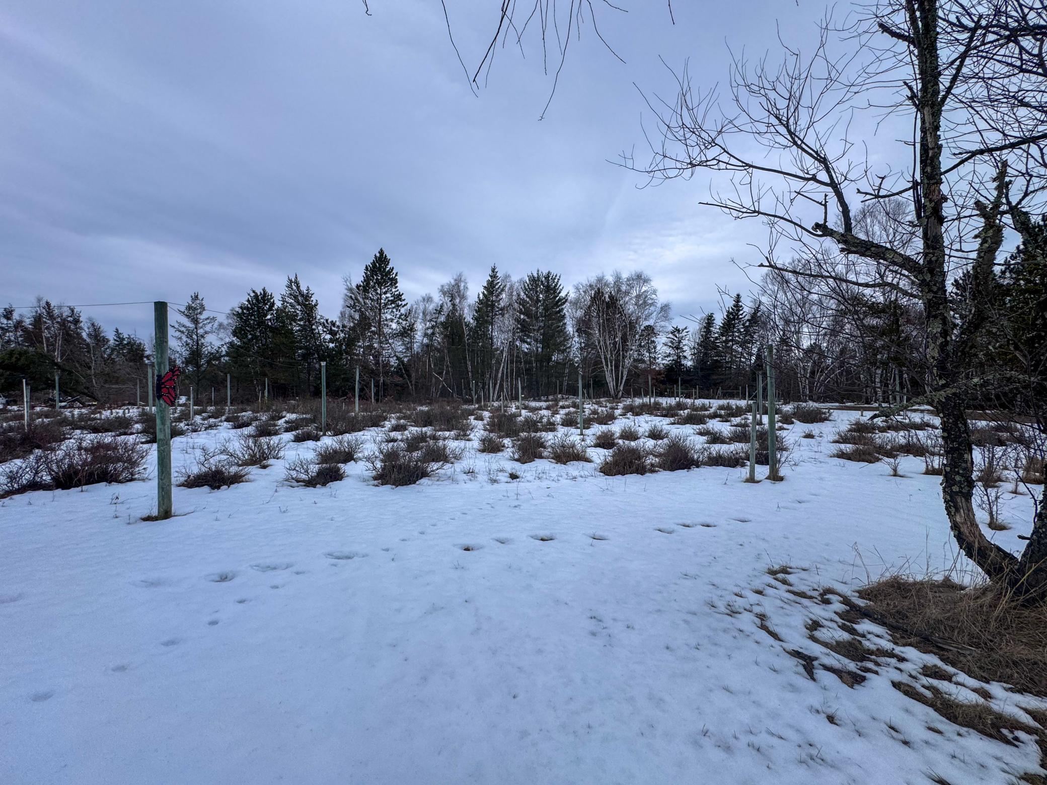 1925 Frohn Road Northeast Bemidji, MN 56601 - Photo 6 of 19