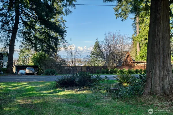 a view of backyard with green space