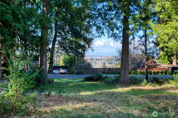 a view of a backyard with a tree