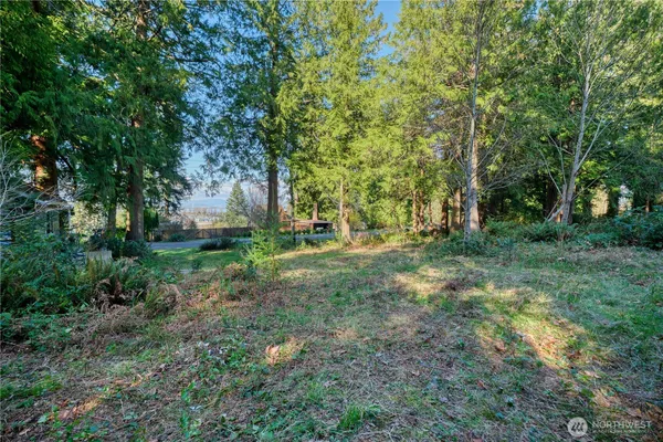 a view of backyard with green space