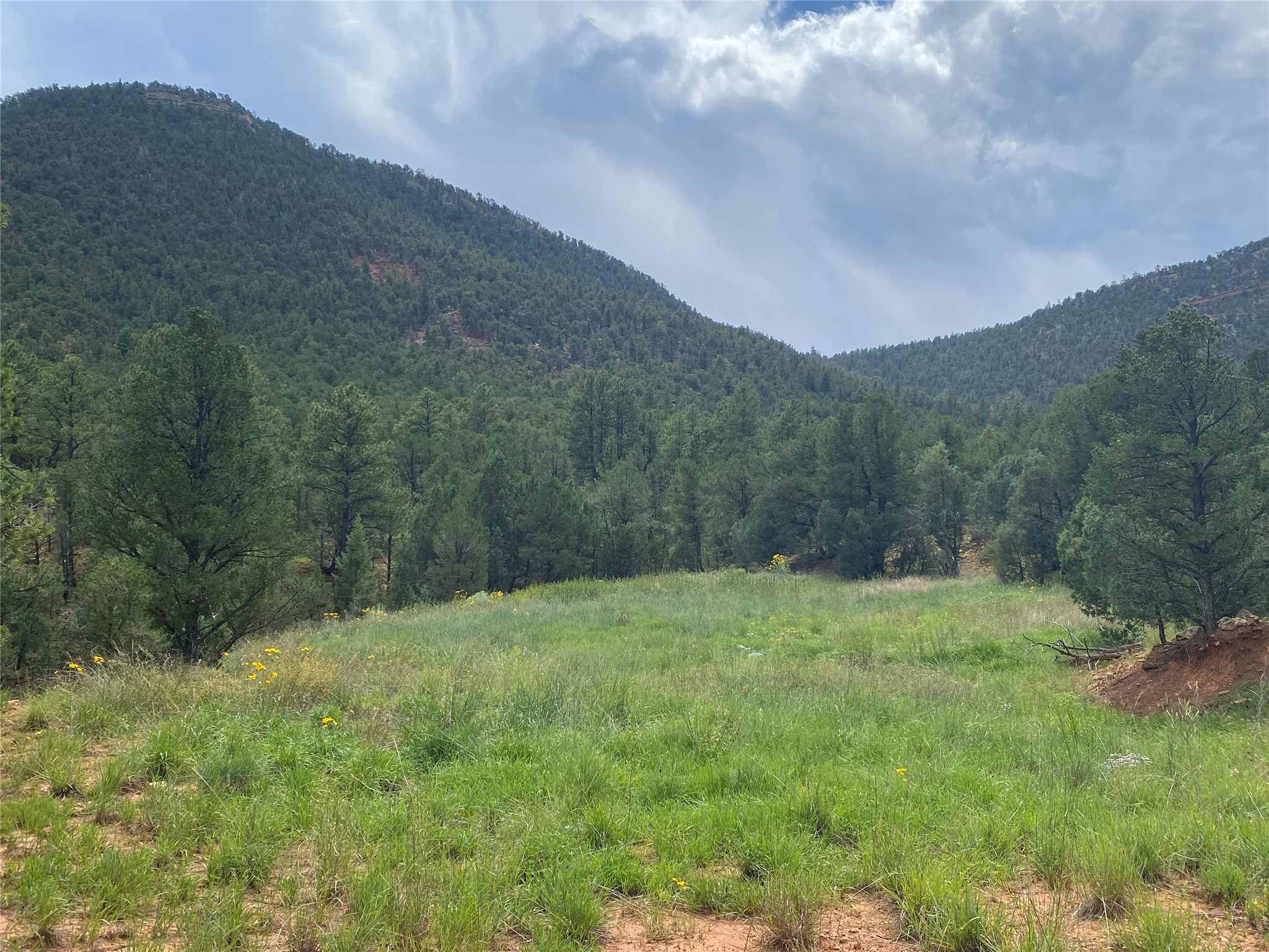 45 The Cliffs View Glorieta, NM 87535 - Photo 4 of 11