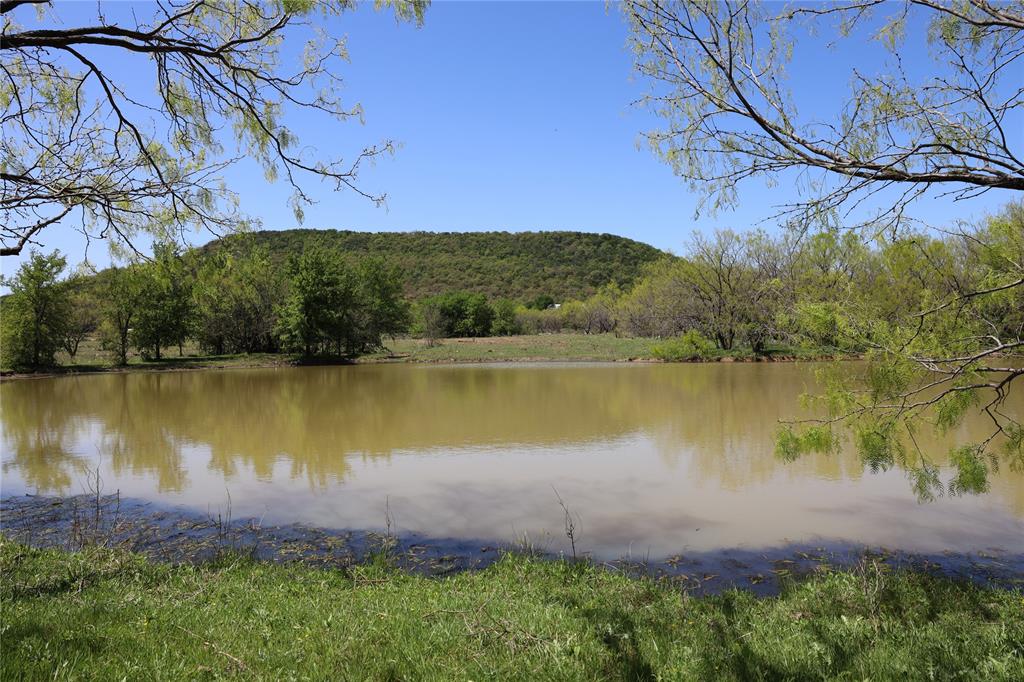 a view of a lake with a yard and large trees