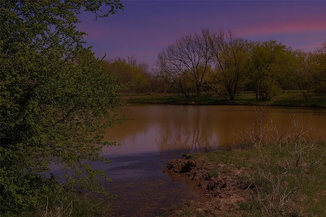 a view of a yard next to a lake view