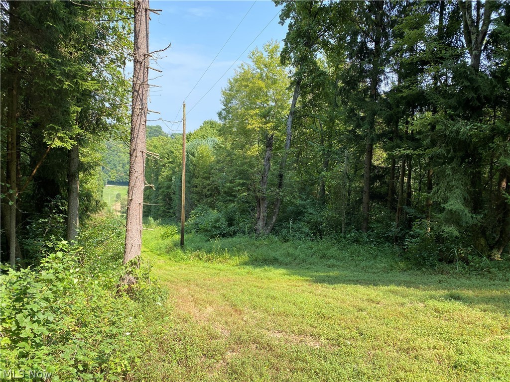 258 State Route Tippecanoe, OH 44699 - Photo 10 of 34 Gallery Image 10
