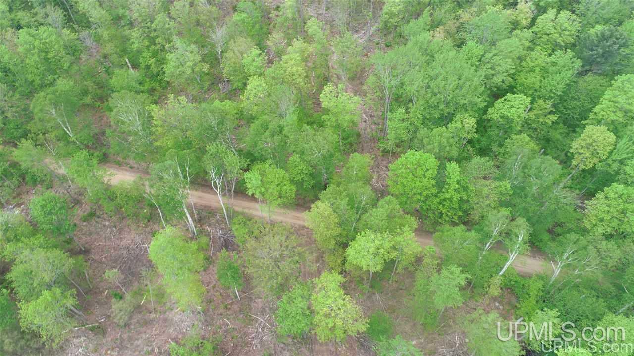 14399 North Maple Block Road Paradise, MI 49768 - Photo 7 of 14