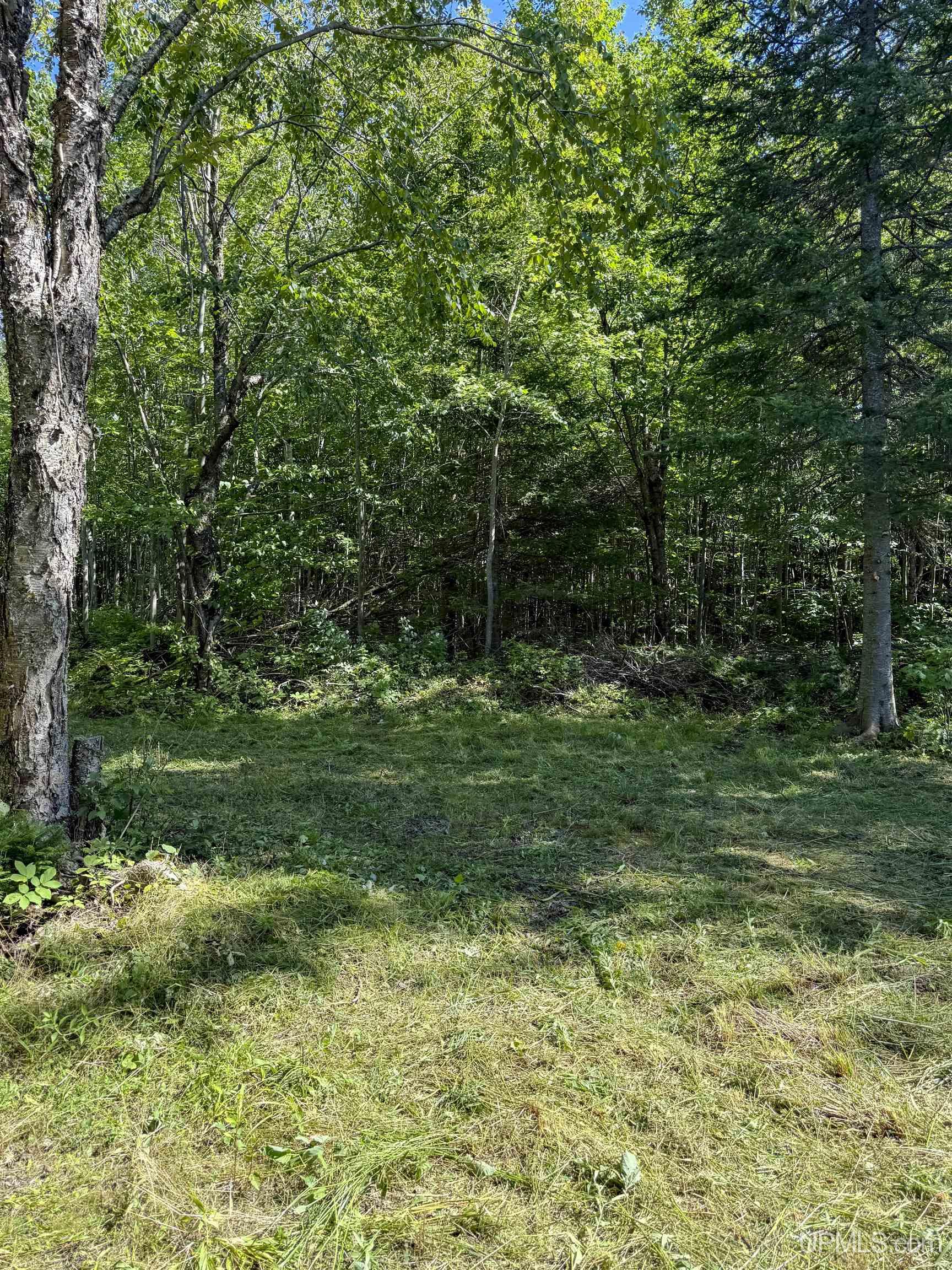 Lot 2 Off Hwy M-64 Road Ontonagon, MI 49953 - Photo 5 of 37