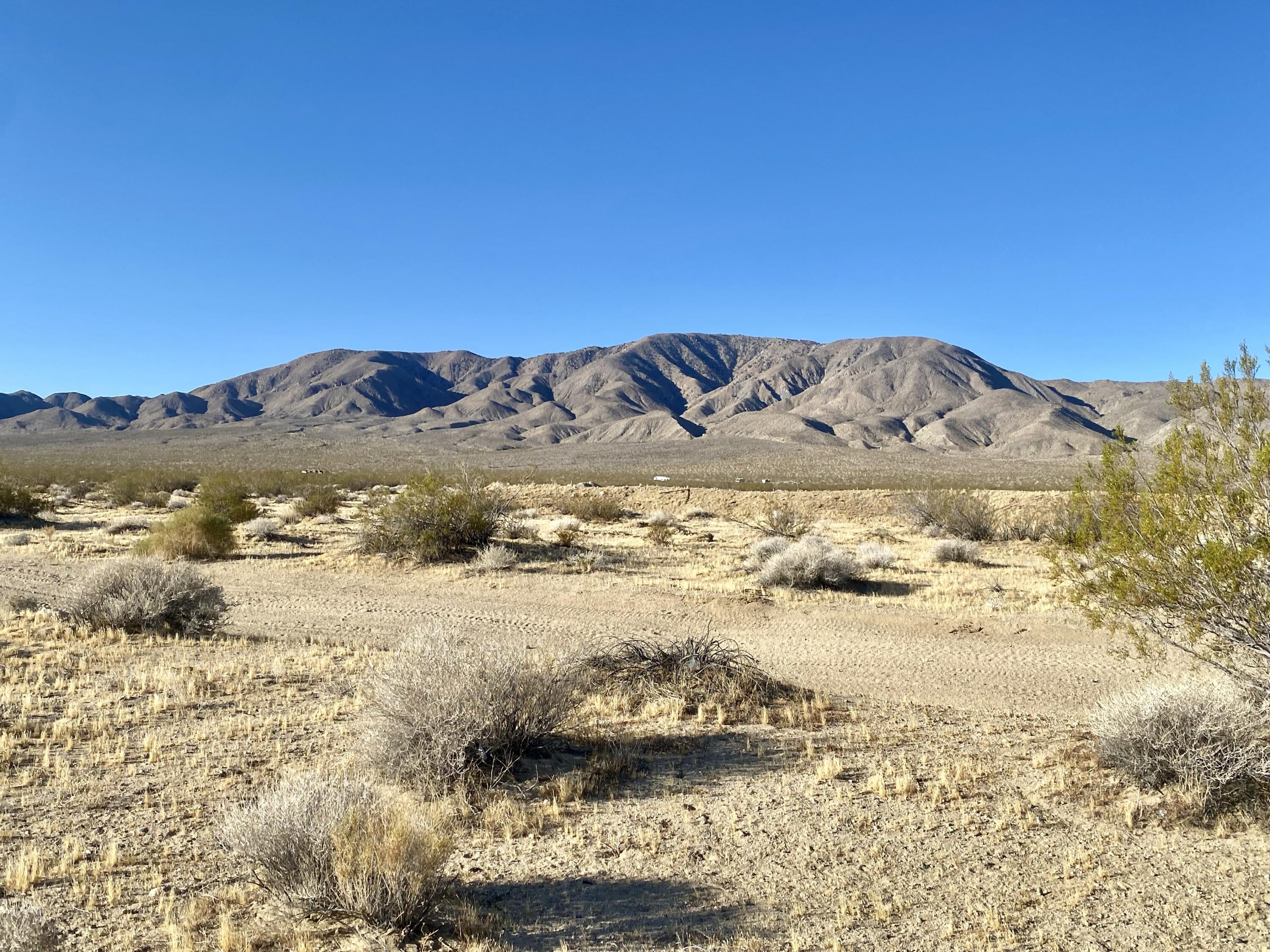 104 Joshua Tree Road Johnson Valley, CA 92285 - Photo 20 of 55 IMG_8389