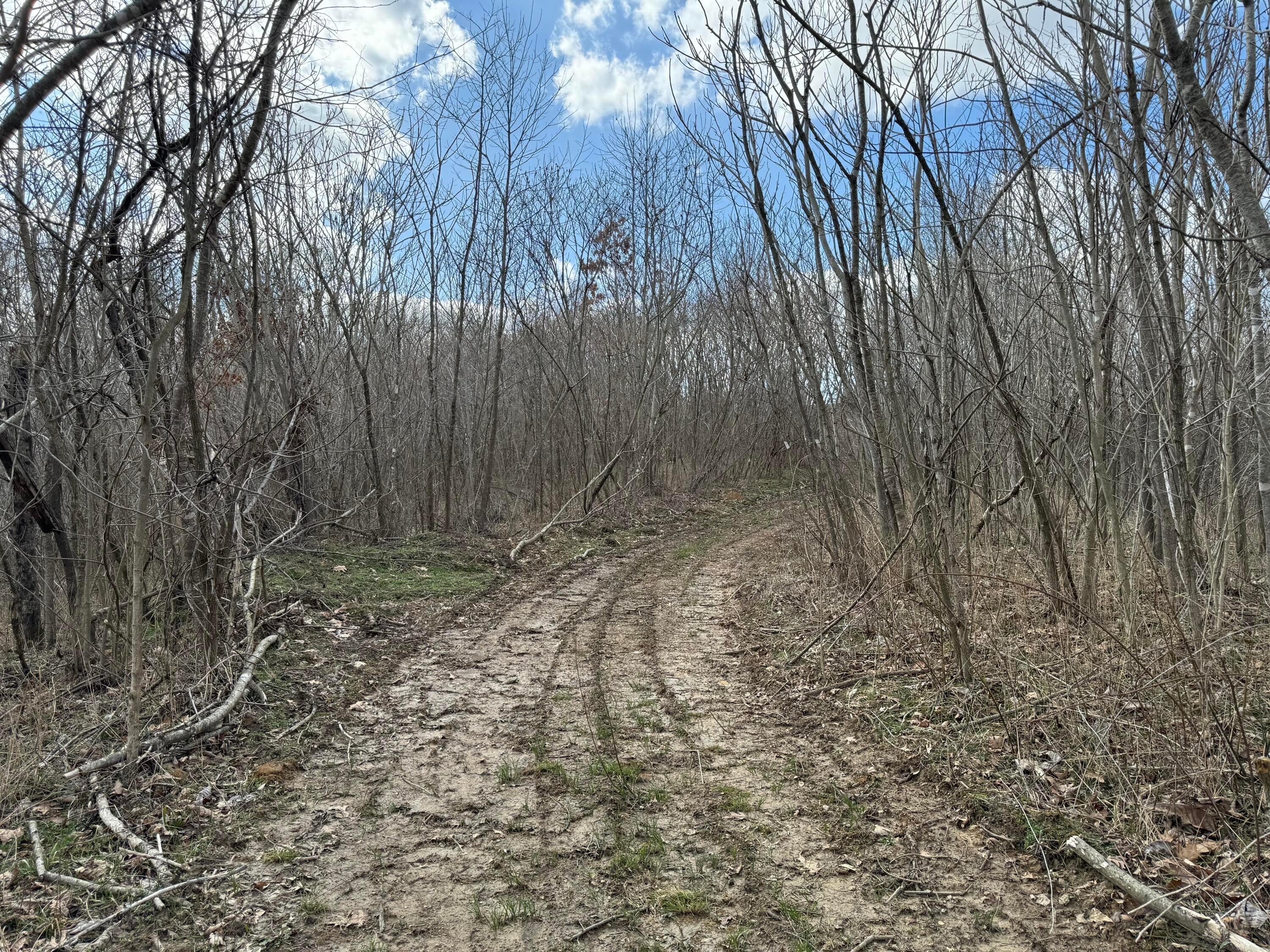 0 Flint Ridge Road Northeast, Unit INT RIDGE TRACT 22 ACRE) Crooksville, OH 43731 - Photo 23 of 48 20240304_190702952_iOS