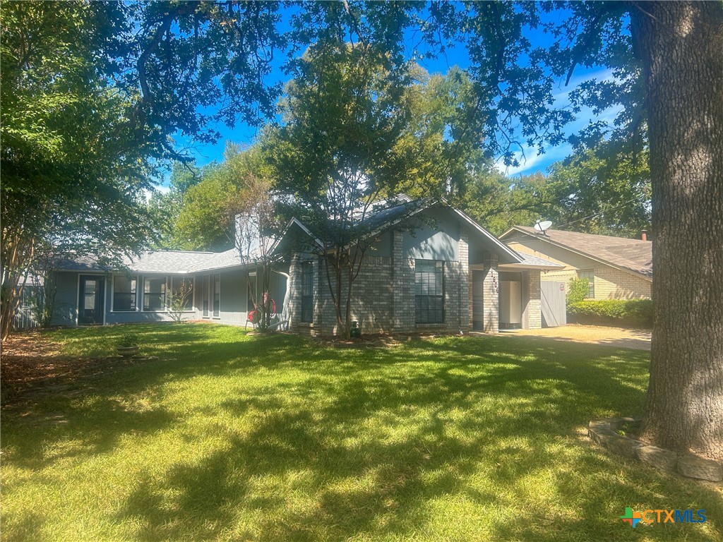 a tree in front of a house with a garden