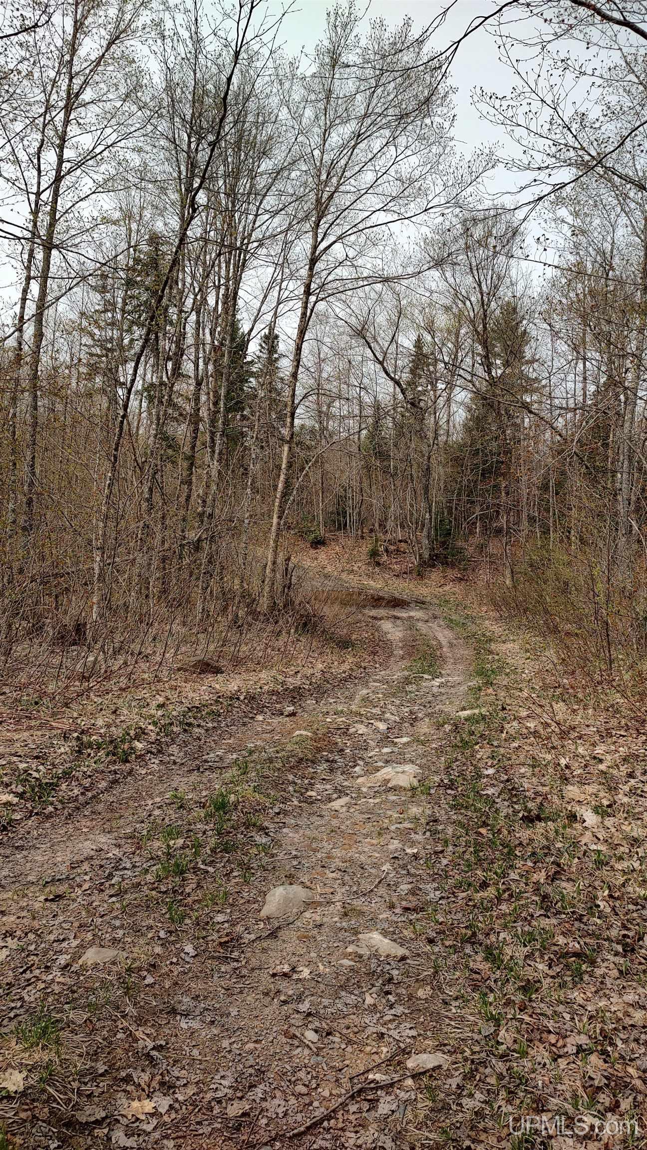 Tbd Tbd Durchman Lake Road Lanse, MI 49946 - Photo 52 of 56