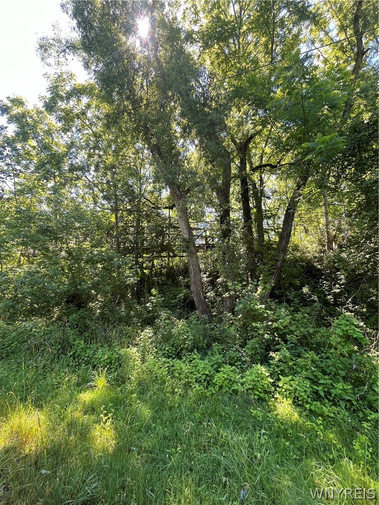 4880 Ransom Road Clarence, NY 14031 - Photo 40 of 42 Gallery Image 40