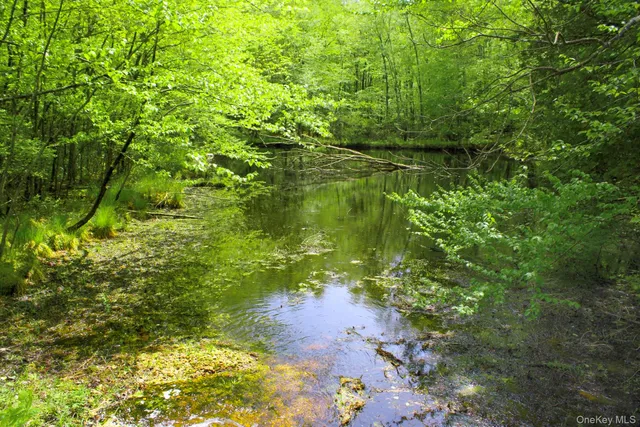 a lake view with a lake