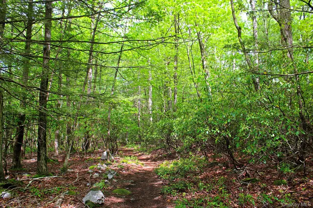 a view of a yard with an outdoor space