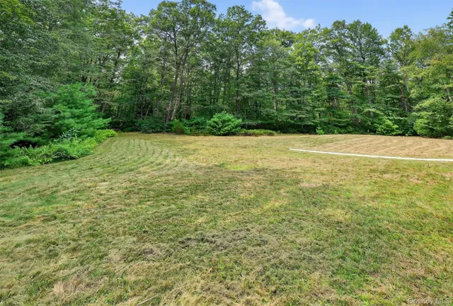 a view of a lush green hillside and houses