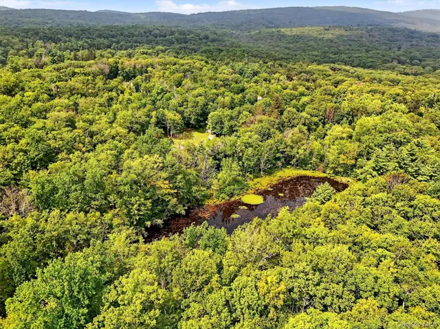 a view of a bunch of trees