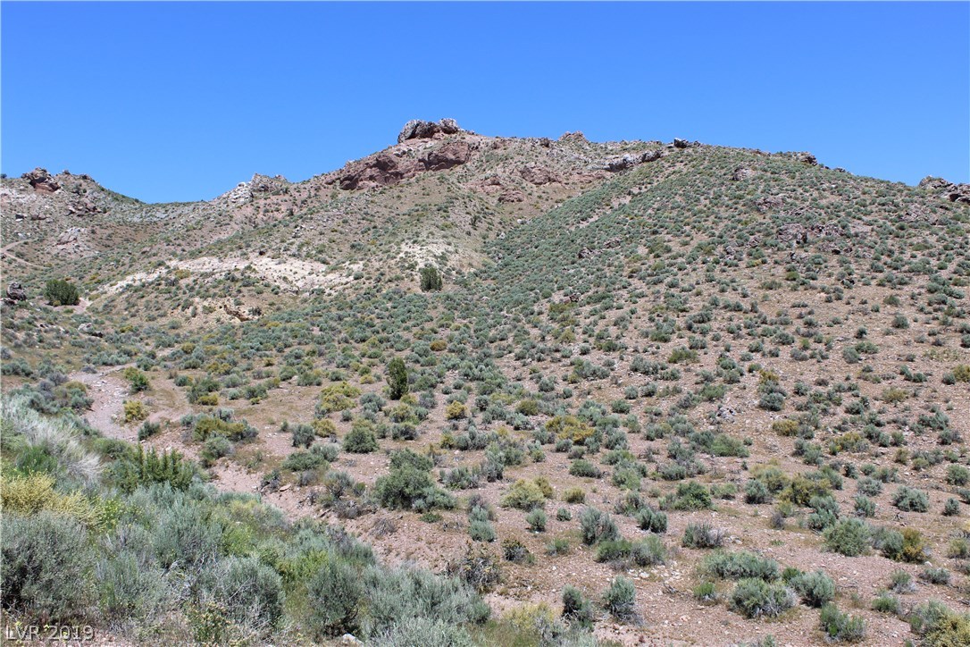 77 Acres Caliente, NV 89008 - Photo 6 of 11 Viewing West on the hillside.