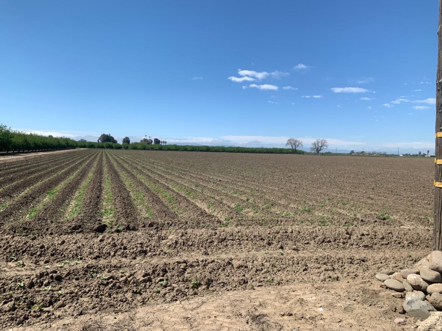 0 Santa Lucia Road Los Banos, CA 93635 - Photo 4 of 9