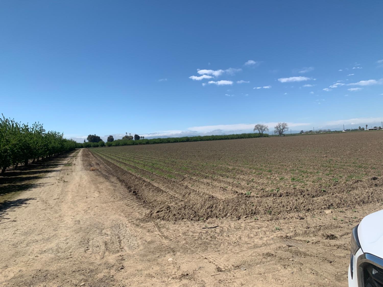 0 Santa Lucia Road Los Banos, CA 93635 - Photo 5 of 9